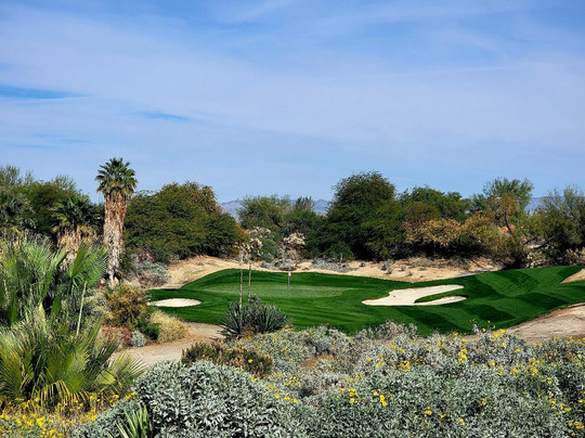 Desert Willow Golf Resort-棕榈沙漠必去景点