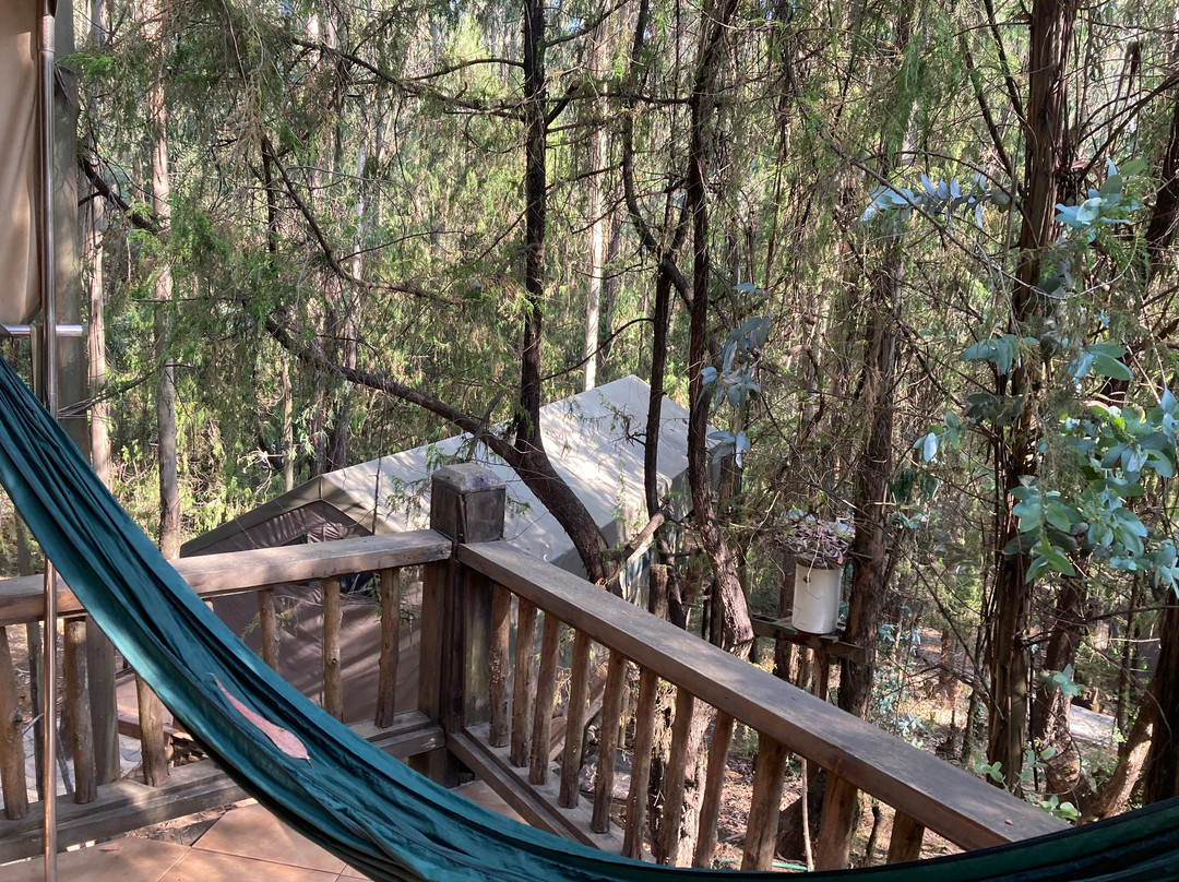 Kuriftu Entoto Adventure Park-亚的斯亚贝巴必去景点