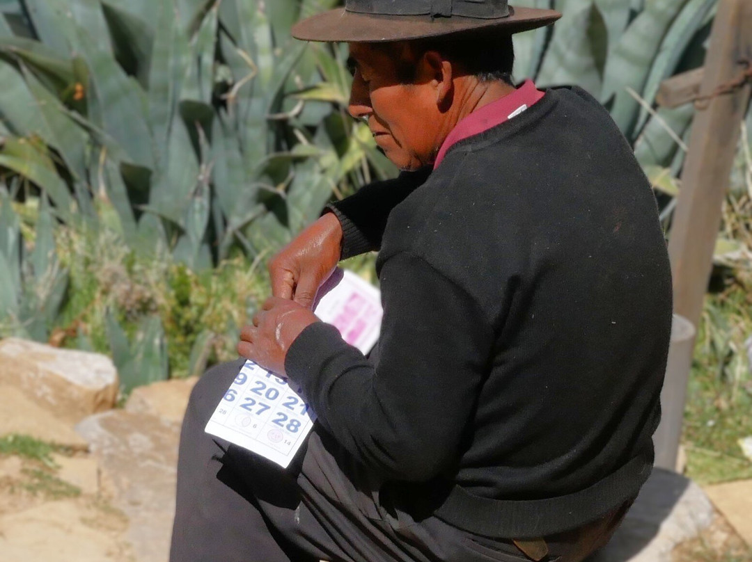 Isla Del Sol-科帕卡巴纳必去景点