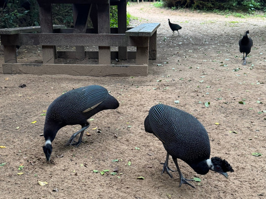 Mseni Beach Lodge主图