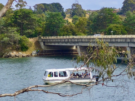 Leven River Cruises-Ulverstone必去景点