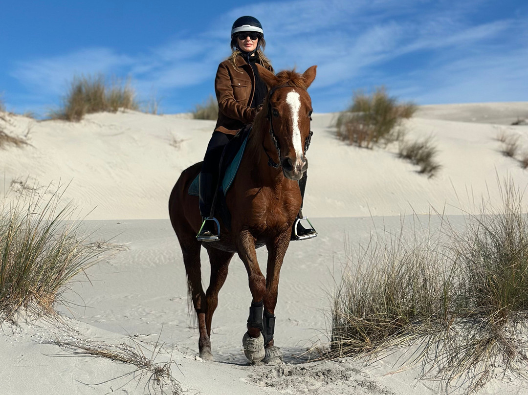 Centro Ippico Meurreddus a Cuaddu-San Giovanni Suergiu必去景点