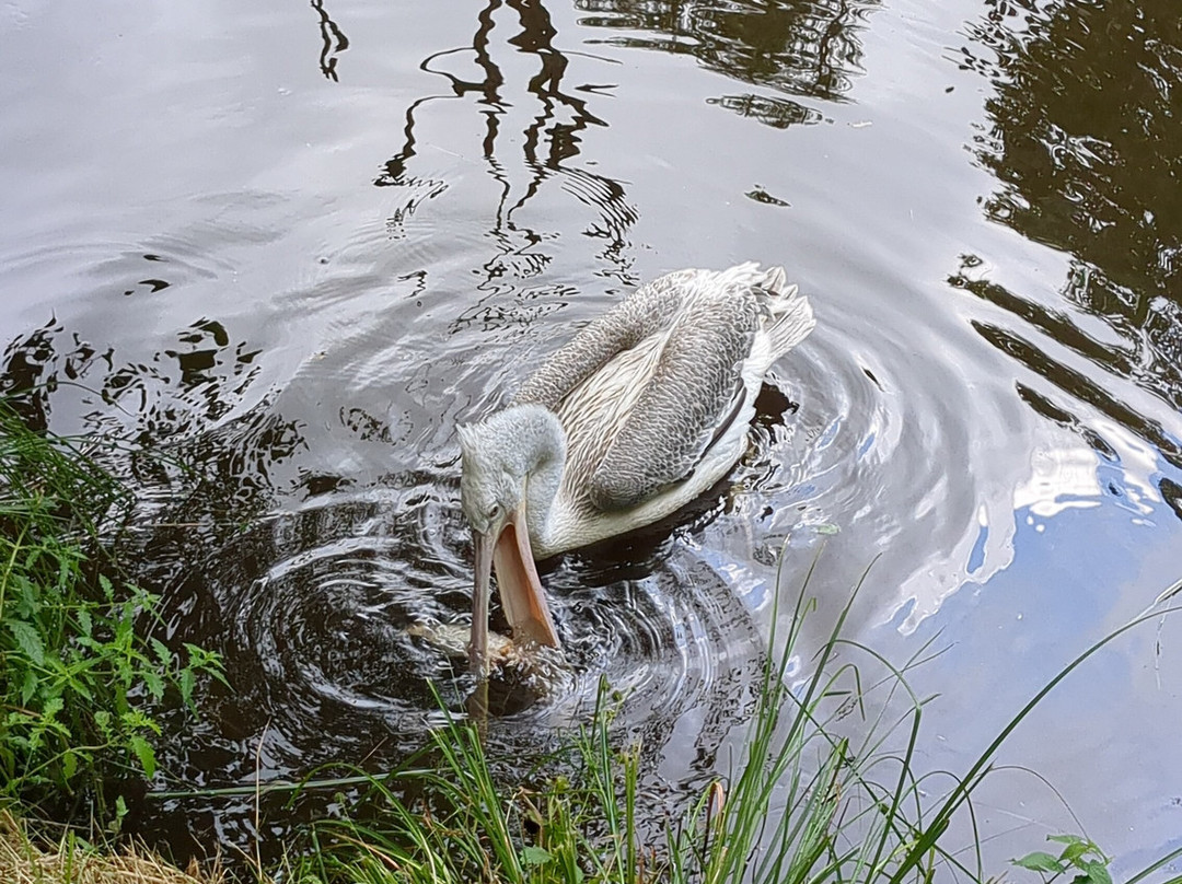 Les Terres De Nataé-Pont-Scorff必去景点