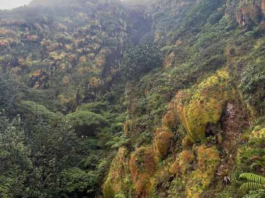 La Soufrière-Saint-Claude必去景点