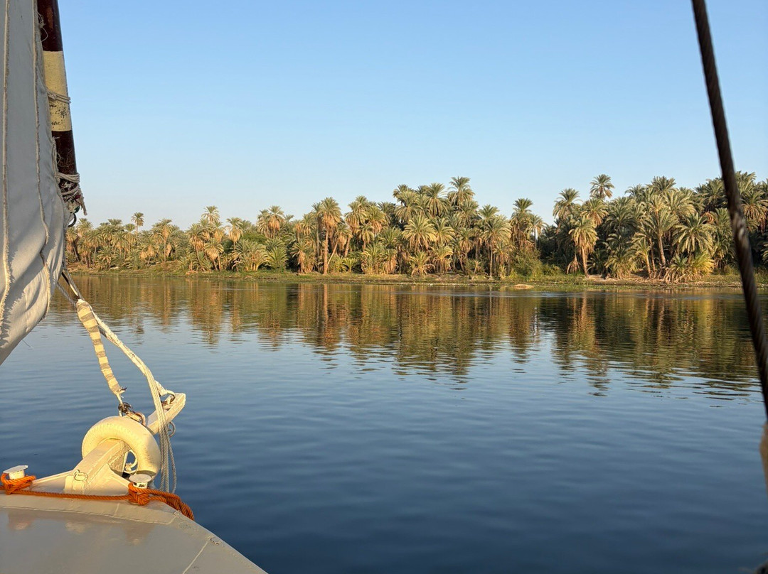 Hamdy Cook Felucca-亚斯文必去景点