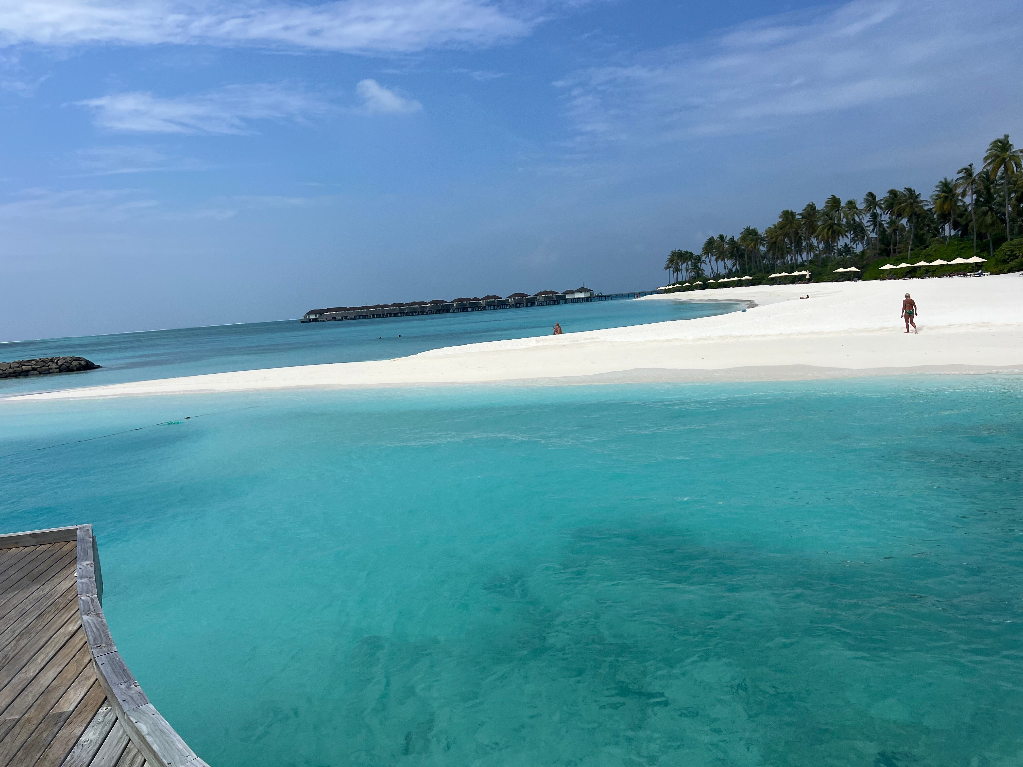 Avani+ Fares Maldives Resort-泳池