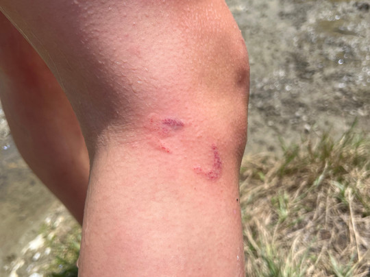 Waihi Falls-Waione必去景点