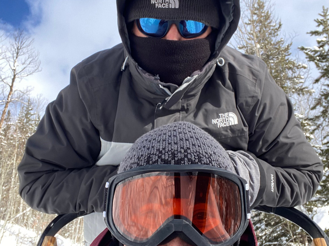 Grizzle-T Dog & Sled Works-斯廷博特斯普林斯必去景点