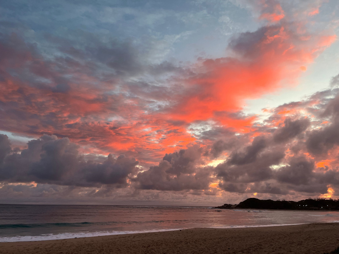 Liquid Dive Adventures-托佛必去景点
