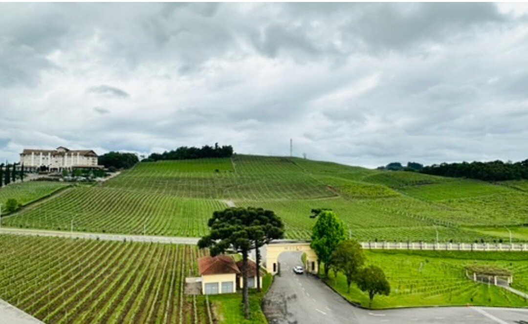 Miolo Wine Group-本图贡萨尔维斯必去景点