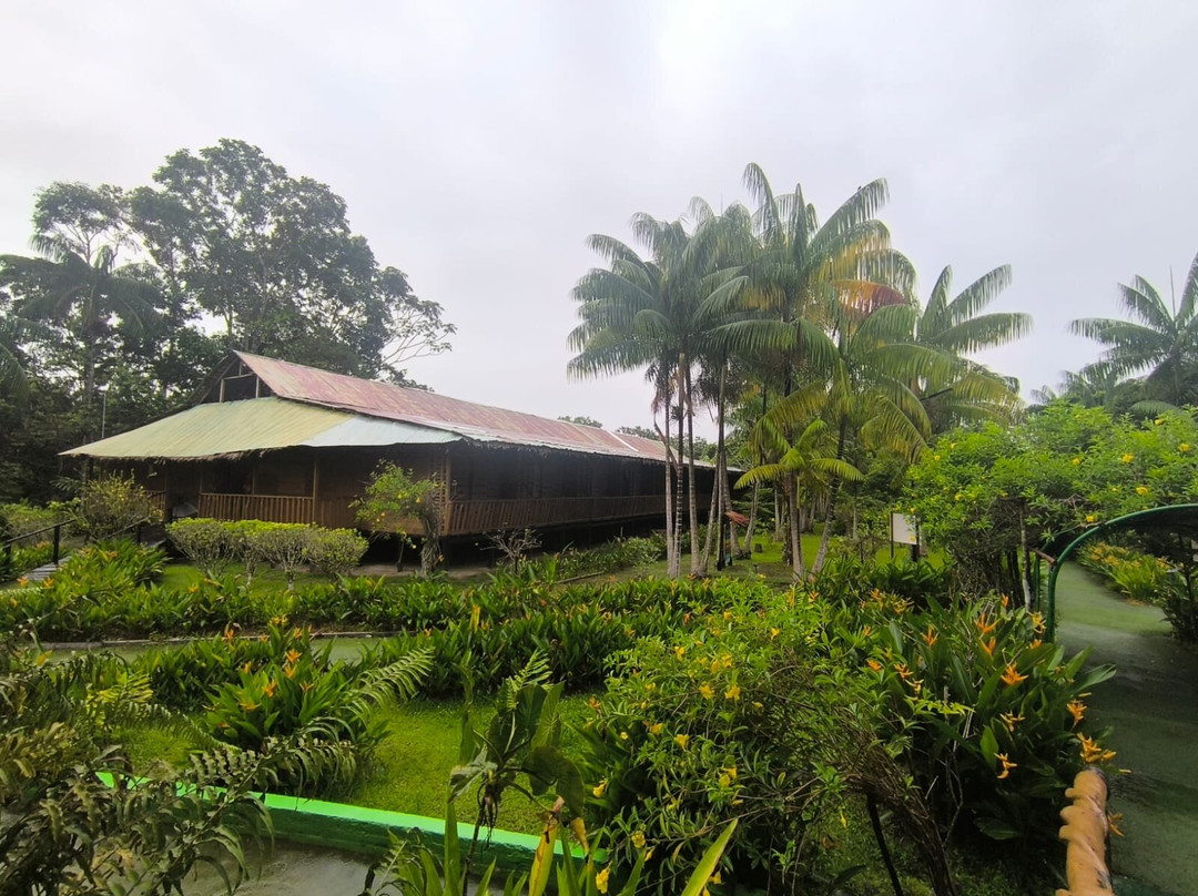 Biohotel Arara River