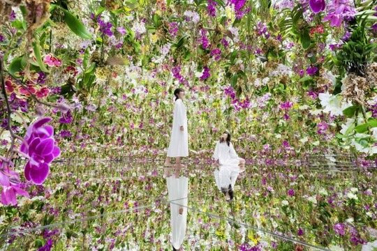teamLab Planets TOKYO-Toyosu必去景点