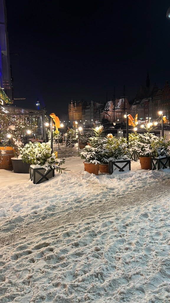 Celestin Residence-官方