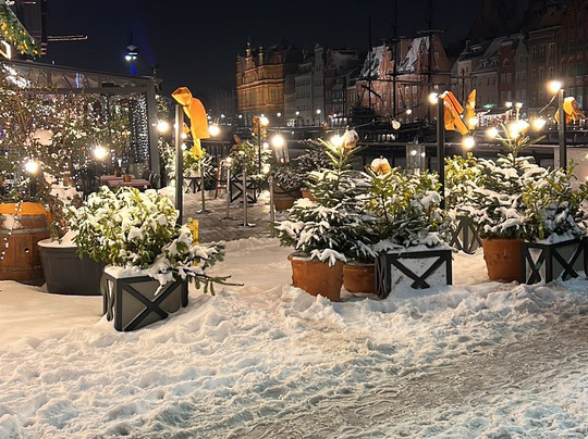 Celestin Residence主图