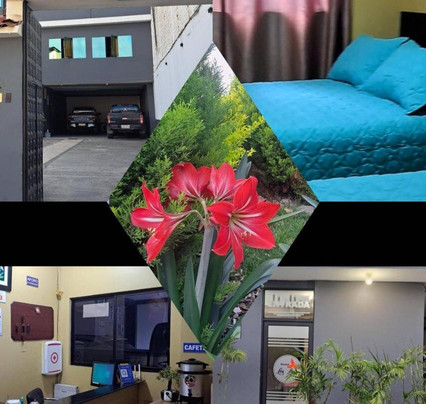 Hostal Los Lirios主图