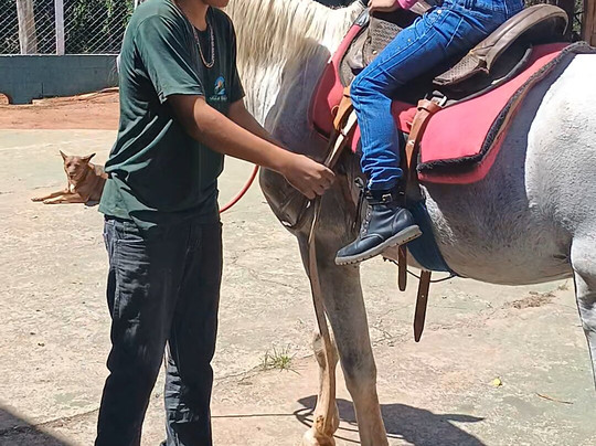 Hotel Fazenda Poços de Caldas主图