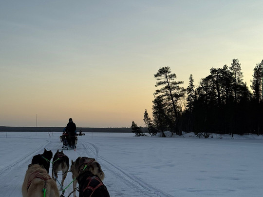 哈士奇雪橇之旅-罗瓦涅米必去景点