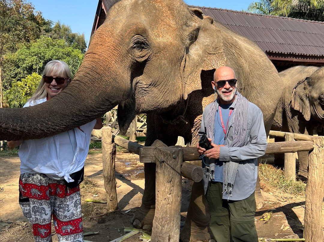 Elephant Village Sanctuary & Resort-琅勃拉邦必去景点