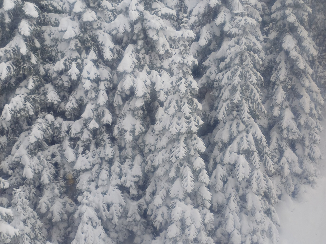 Bursa Teleferik-布尔萨必去景点