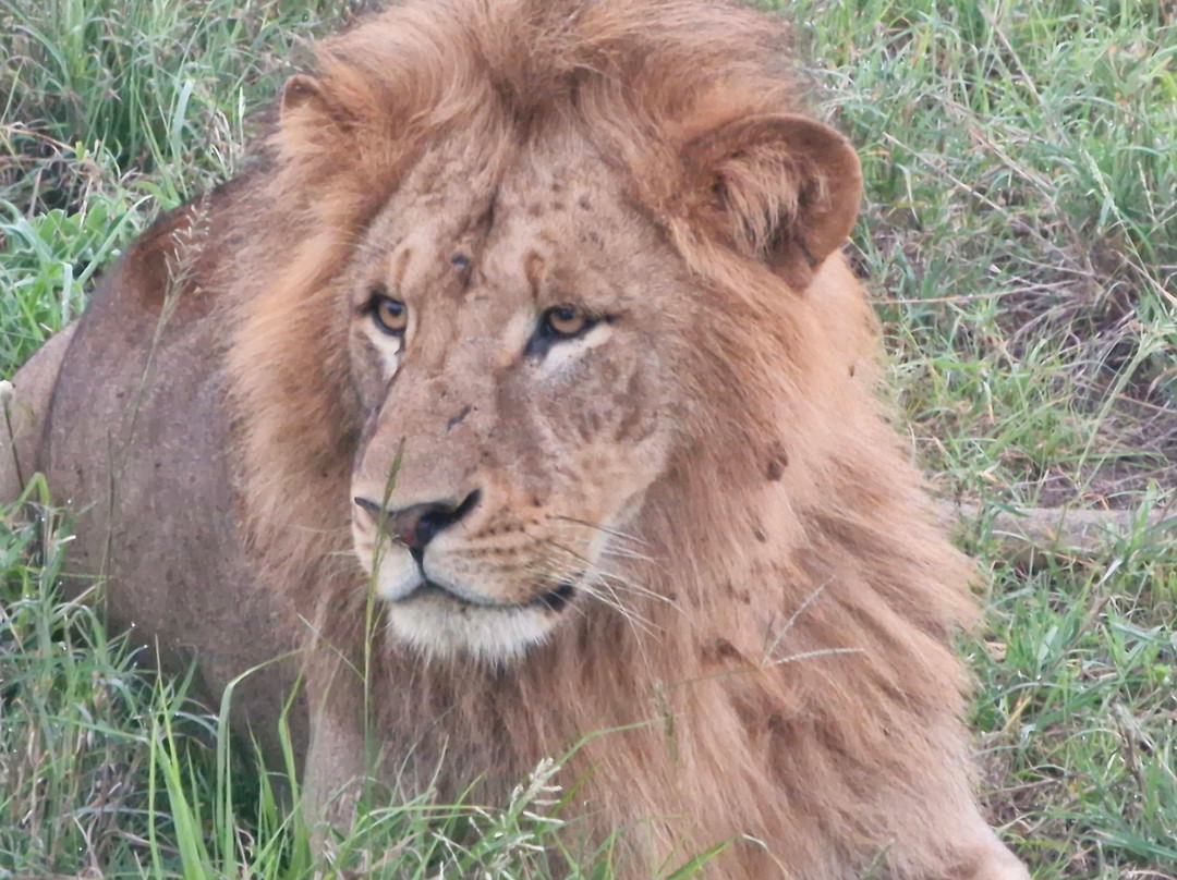 Abdull Safari Kenya-瓦塔木必去景点