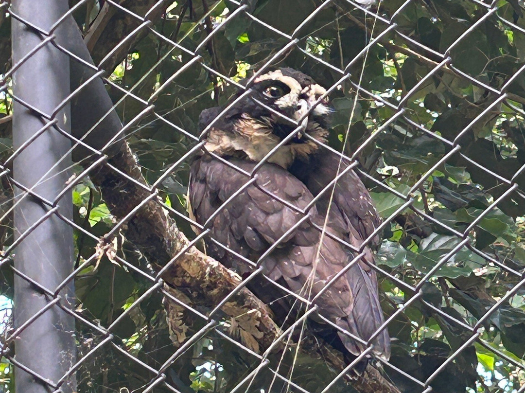 Rescate Wildlife Rescue Center-阿拉辉拉必去景点