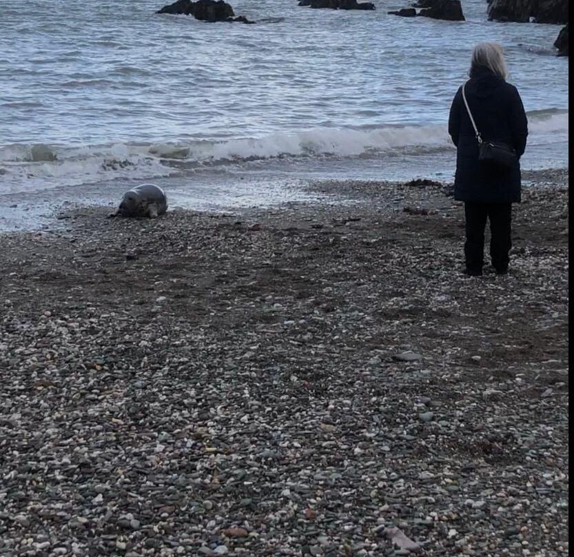 Cawsand Beach-Cawsand必去景点