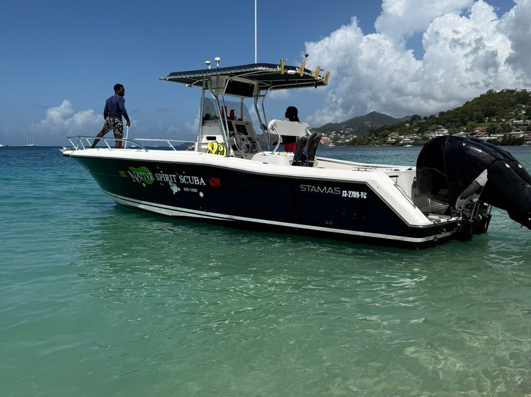 Native Spirit Scuba-Grand Anse必去景点