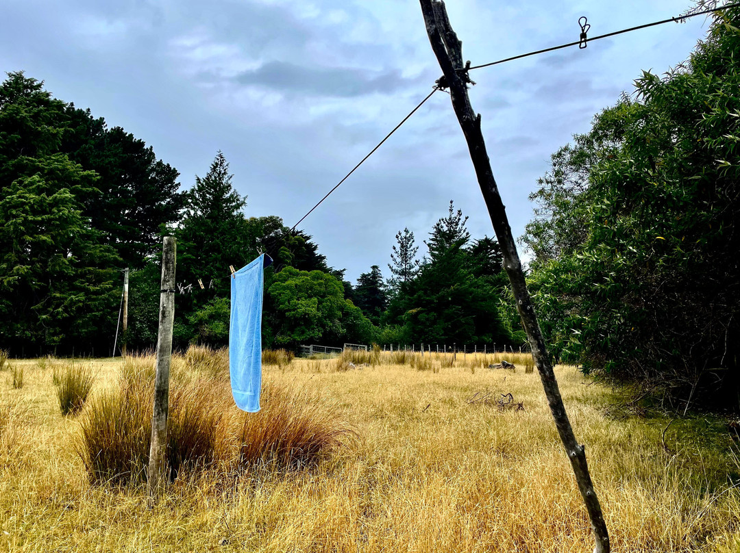 Kaikoura Coastal Track-Kaikoura必去景点