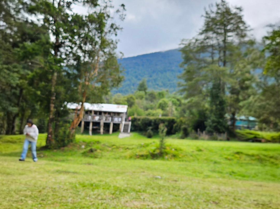 Restorant y saltos Lancuyen-Hornopiren必去景点