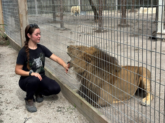 McCarthy's Wildlife Sanctuary-西棕榈滩必去景点