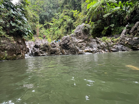 El Yunque Tours-Rio Grande必去景点