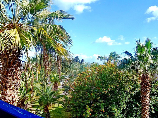 Eden Yasmine Resort & Spa主图