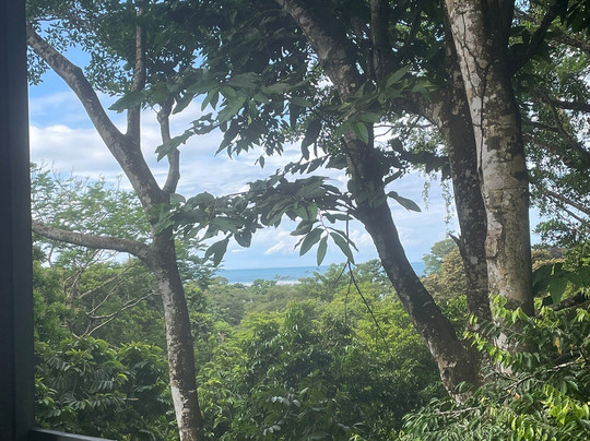 Villas En El Bosque主图