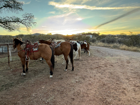 Double R Ranch-Elgin必去景点