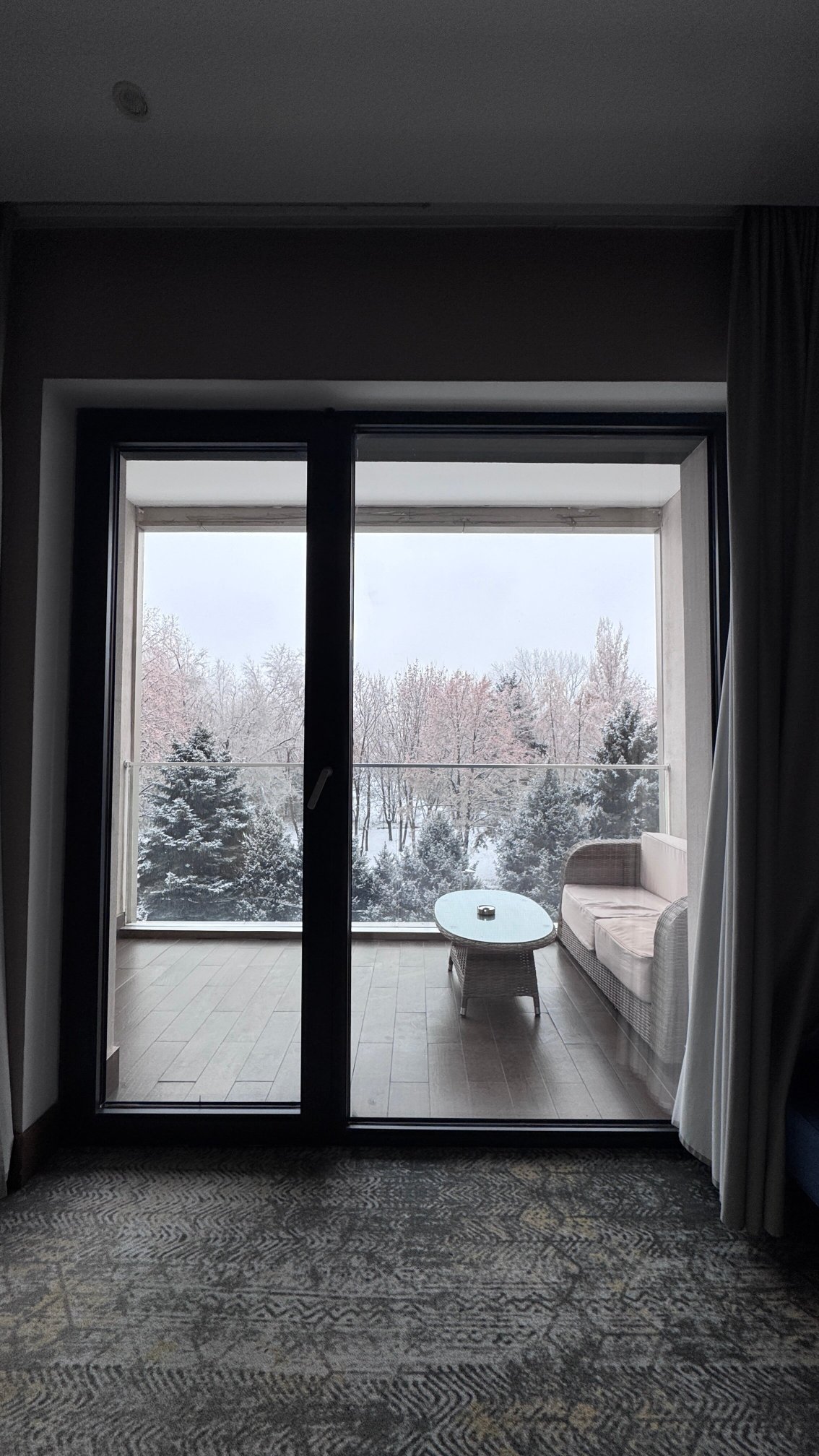 阿拉木图阿拉套瑞士疗养度假酒店-官方