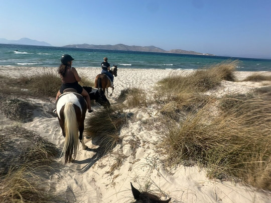 Erika's Horse Farm Kos-Marmari必去景点