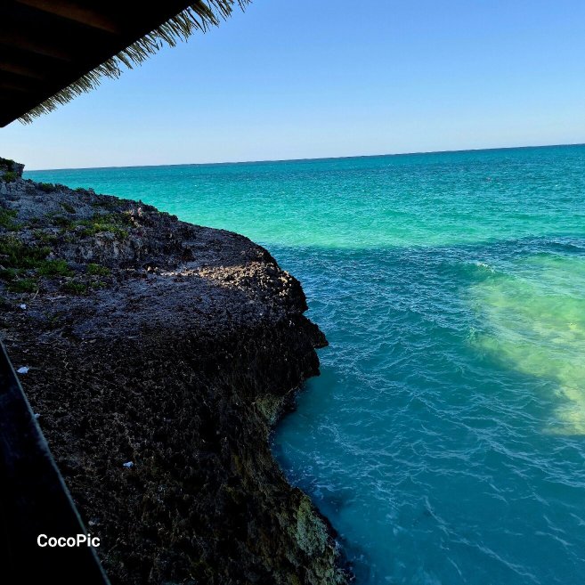 Playa Luxury Cayo Guillermo Hotel-官方