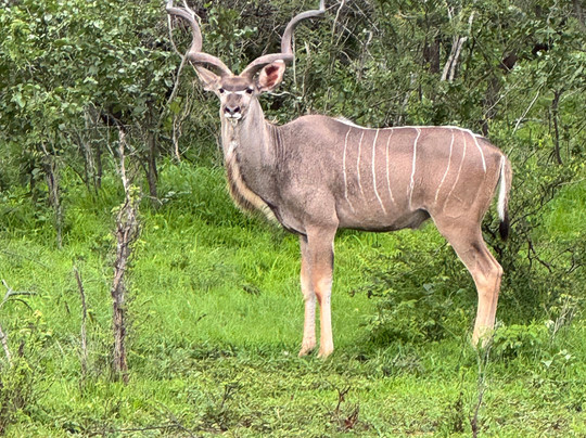 Chase Africa Safaris-鲁德普特必去景点