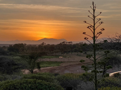 Buffalo Springs National Reserve-Buffalo Springs Game Reserve必去景点