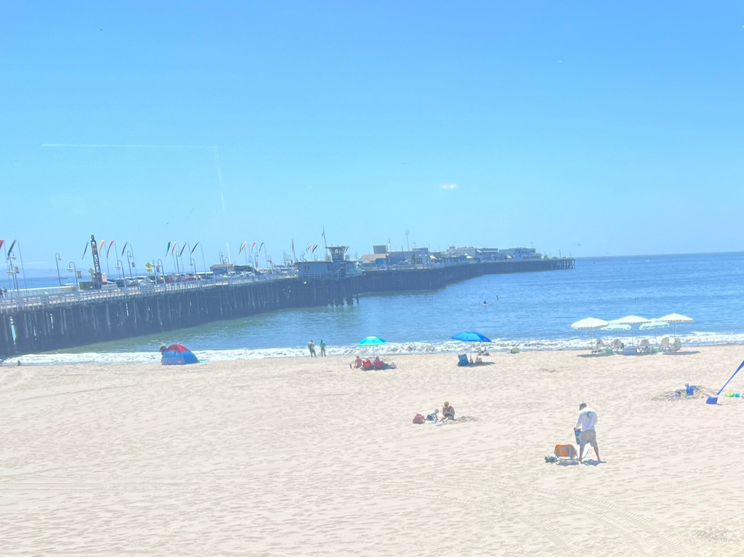 Cowell's Beach-圣克鲁斯必去景点