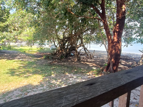 The Last Point主图