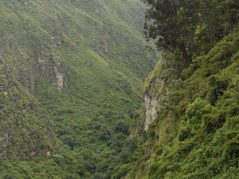 Ecuador Birds Tours-基多必去景点