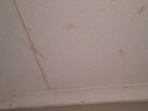 乡村精品酒店主图