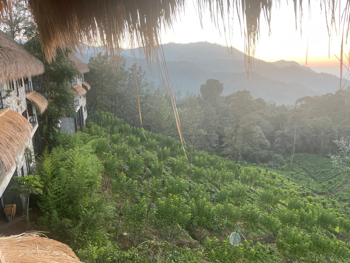 98英亩度假村-酒店景观