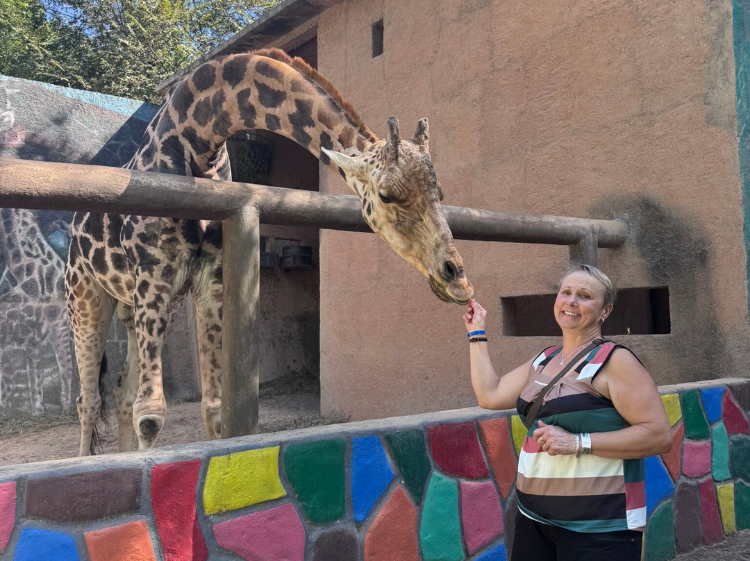 Zoologico de Vallarta-Mismaloya必去景点
