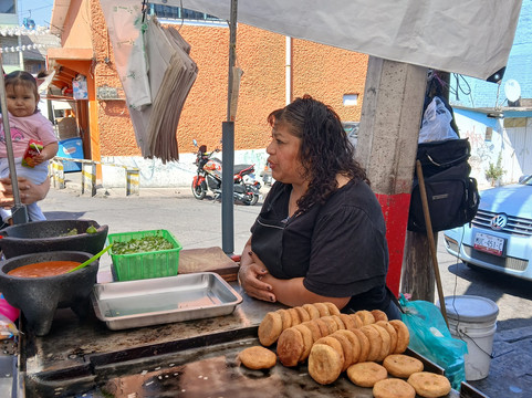 Kactus-墨西哥城必去景点