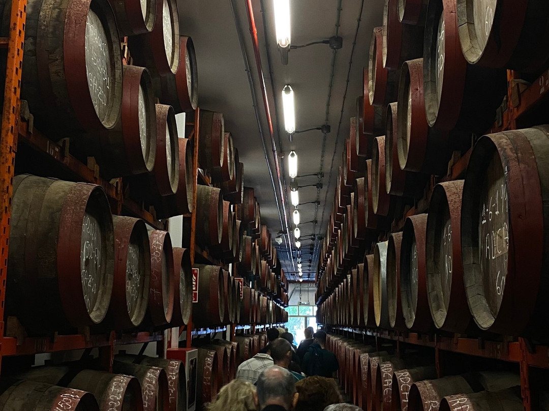 Arehucas Rum Distillery-Arucas必去景点