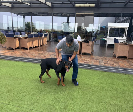 Vivanta布巴内斯瓦尔DN广场主图