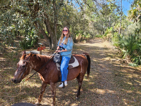 Wagon Wheel Horse Farm-奥基乔比必去景点