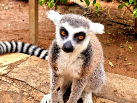 Pafos Zoo-帕福斯必去景点